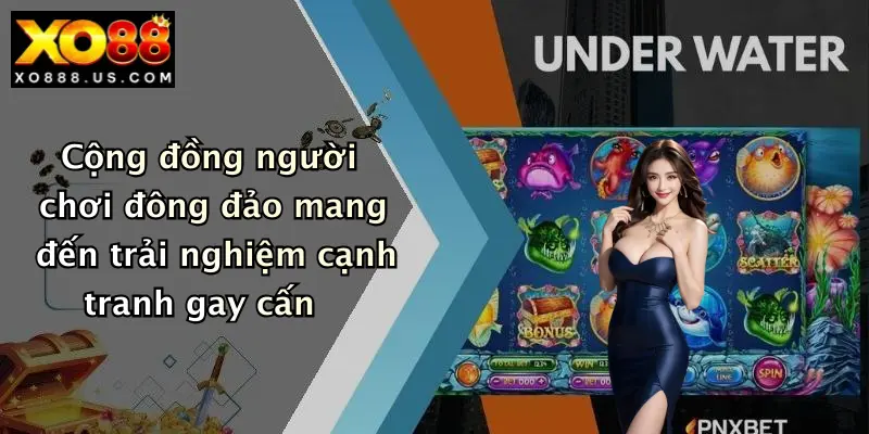 Cộng đồng người chơi đông đảo mang đến trải nghiệm cạnh tranh gay cấn