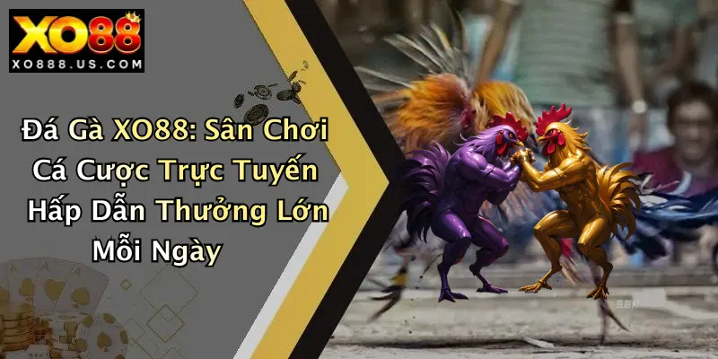 Đá Gà XO88: Sân Chơi Cá Cược Trực Tuyến Hấp Dẫn Thưởng Lớn Mỗi Ngày