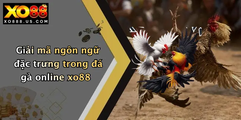 Giải mã ngôn ngữ đặc trưng trong đá gà online xo88