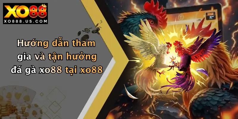 Hướng dẫn tham gia và tận hưởng đá gà xo88 tại xo88