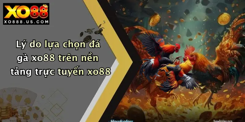 Lý do lựa chọn đá gà xo88 trên nền tảng trực tuyến xo88